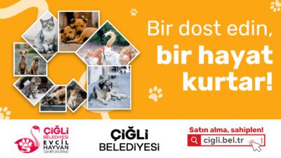 Çiğli Belediyesi tarafından, can dostları yeni yuvalarına kavuşturmak amacıyla Evcil