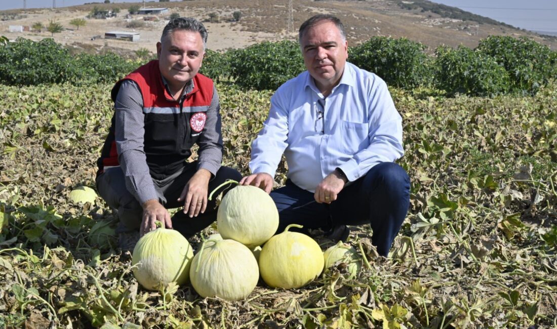 İzmir’in Foça İlçesi Gerenköy Mahallesi’nde Foça İlçe Tarım ve Orman