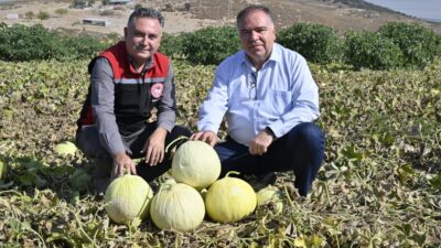 İzmir’in Foça İlçesi Gerenköy Mahallesi’nde Foça İlçe Tarım ve Orman