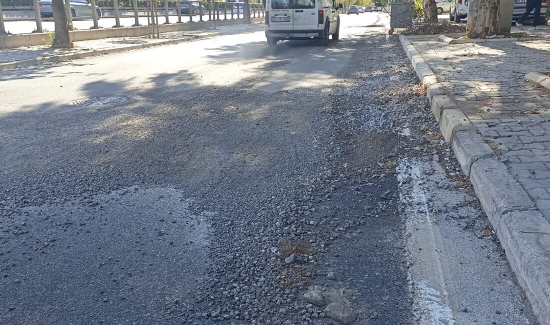 Başlıkta ki sorumuzun cevabı EVET, Yaklaşık Bornova belediyesi tarafından yapılan