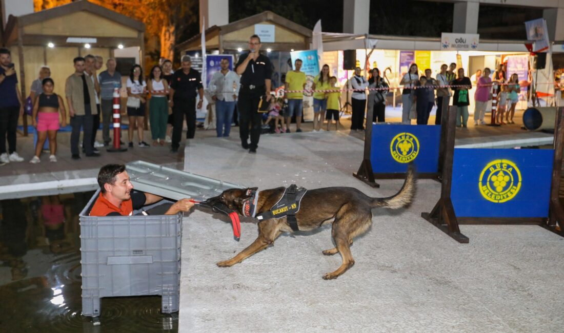 Buca Belediyesi’nin arama kurtarma köpekleri Ramo ve Ateş’in İzmir Enternasyonal