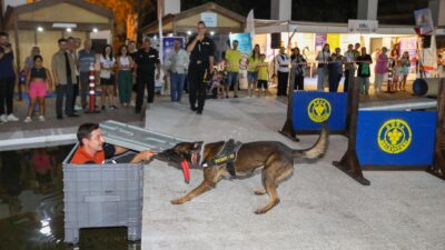 Buca Belediyesi’nin arama kurtarma köpekleri Ramo ve Ateş’in İzmir Enternasyonal