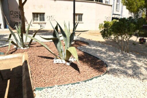 Çevre ve iklime uygun peyzaj çalışmaları ile parklara yeni dokunuşlar