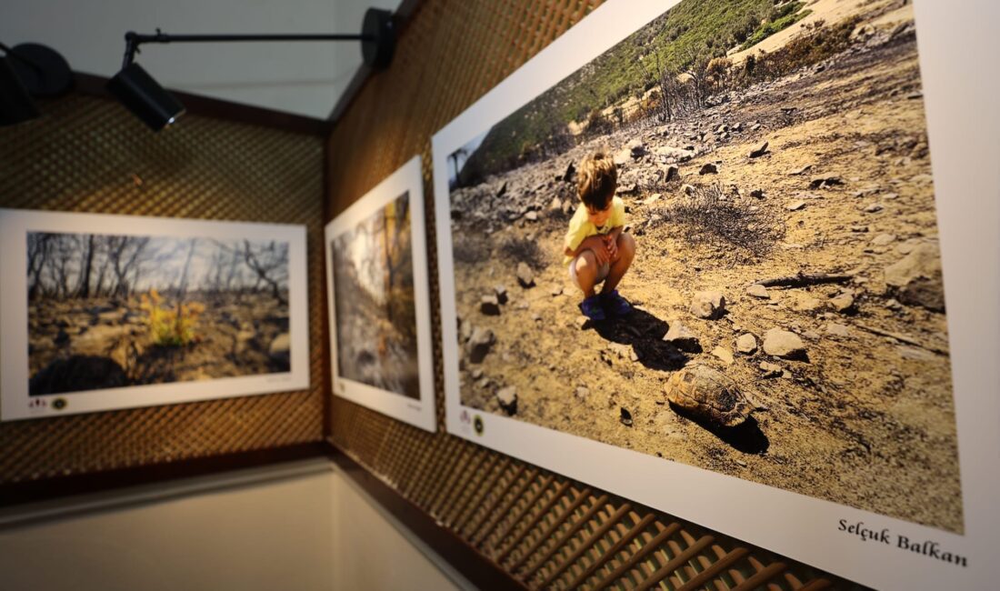 Urla’da Orman Yangınlarına Dikkat Çeken Fotoğraf Sergisi: “Urla’ya Ateş Düştü” Urla’da orman yangınlarının yarattığı tahribatı gözler önüne sermek ve farkındalık