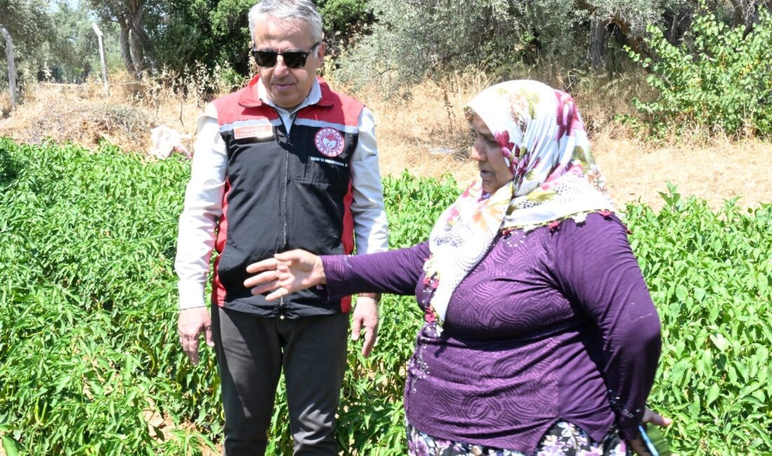 29 Ağustos 2024 tarih ve 32647 sayılı Resmi Gazete'de yayınlanarak