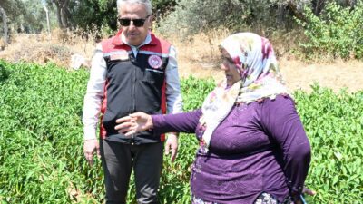 29 Ağustos 2024 tarih ve 32647 sayılı Resmi Gazete'de yayınlanarak