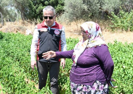 29 Ağustos 2024 tarih ve 32647 sayılı Resmi Gazete'de yayınlanarak