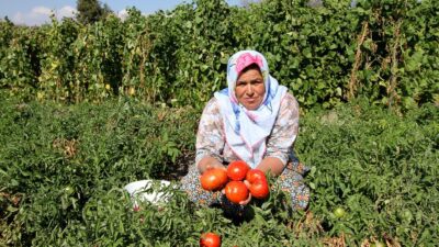 Yamanlar’da yaşanan tarihi yangın felaketinin izlerini silmeye çalışan Karşıyaka Belediyesi, dayanışmayı büyütmek ve yerelde
