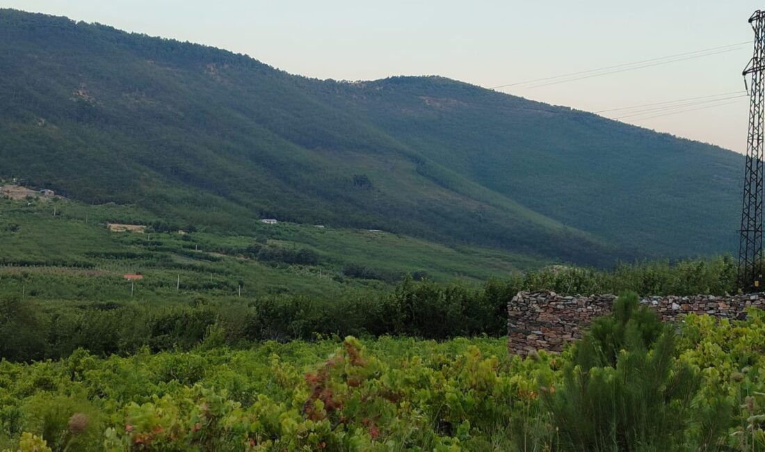 Kemalpaşa Kamberler köyünde 2B arazilerde çiftçilik yapan vatandaşlar Çevre, Şehircilik