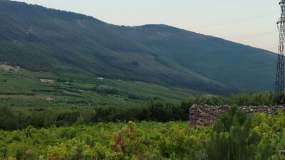 Kemalpaşa Kamberler köyünde 2B arazilerde çiftçilik yapan vatandaşlar Çevre, Şehircilik