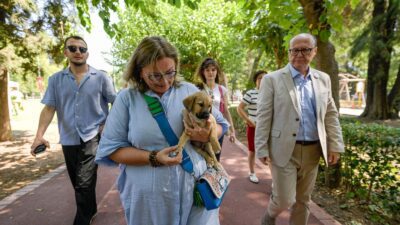 İzmir Büyükşehir Belediyesi, sokakta yaşayan sahipsiz hayvanlarla ilgili yapacağı çalışmalar