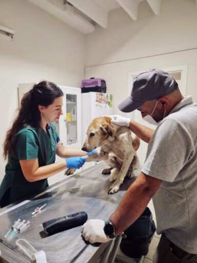 Can dostları yaşatmaktan yana olan Narlıdere Belediyesi, Veteriner İşleri Müdürlüğü’nde