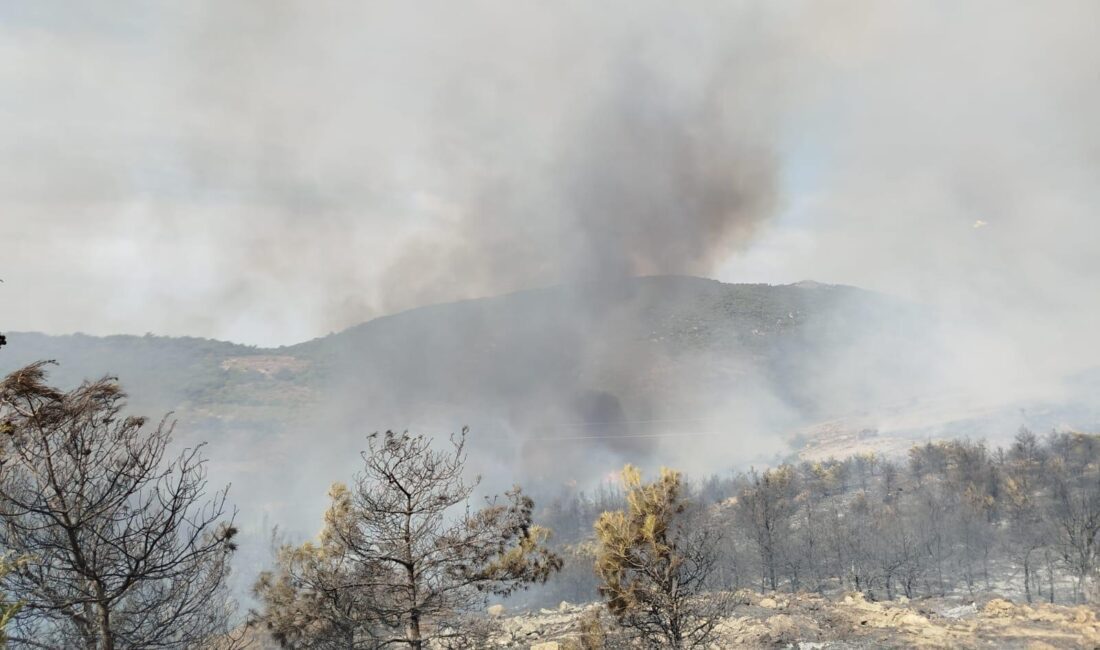 İzmir Büyükşehir Belediyesi İtfaiye Dairesi Başkanlığı’na bağlı ekipler Foça’da ormana