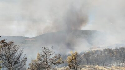 İzmir Büyükşehir Belediyesi İtfaiye Dairesi Başkanlığı’na bağlı ekipler Foça’da ormana
