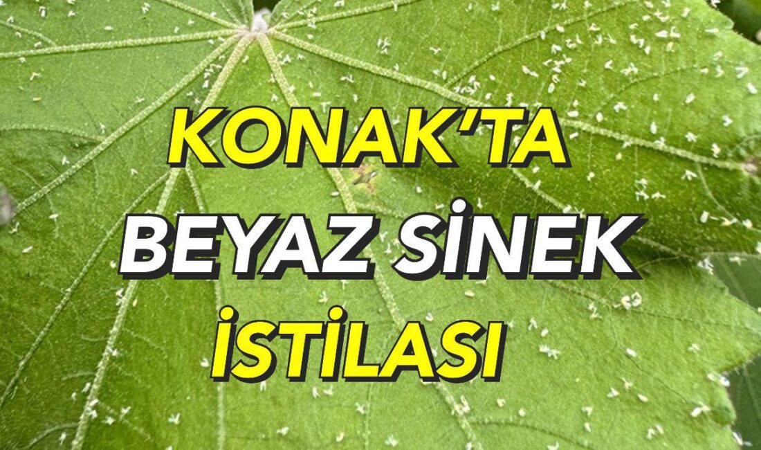 AK Parti Konak İlçe Başkanı Mehmet Sait Başdaş, Konak’ta ve
