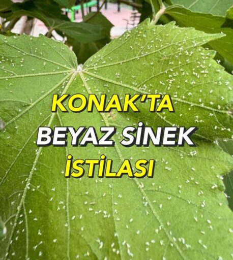 AK Parti Konak İlçe Başkanı Mehmet Sait Başdaş, Konak’ta ve