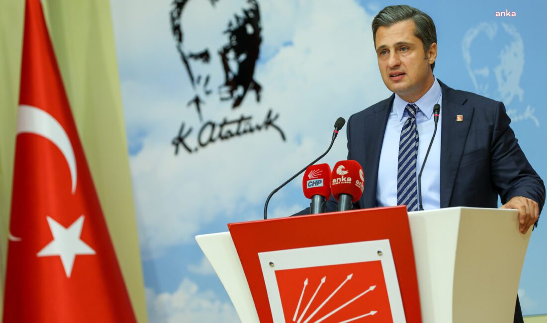 CHP Parti Sözcüsü, Genel Başkan Yardımcısı ve İzmir Milletvekili Deniz