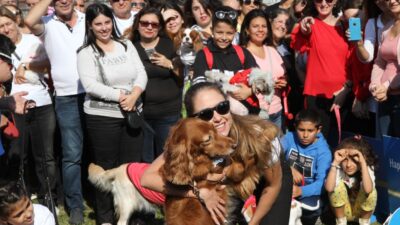 Karşıyaka Belediyesi, bu hafta sonu hayvanseverleri ‘Patifest’te buluşturacak. Taypark’ta gerçekleşecek
