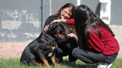 Aliağa Belediyesi tarafından Güzelhisar Mahallesi sınırları içerisinde projelendirilen Pati Park