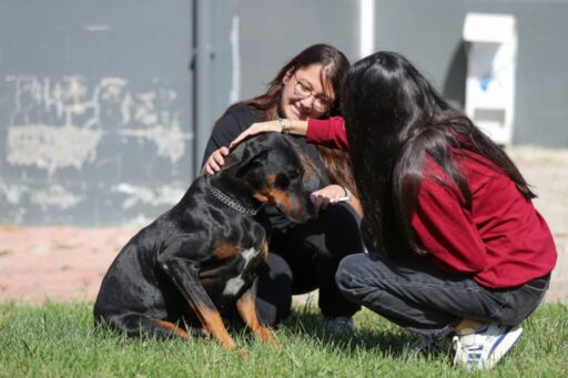 Aliağa Belediyesi tarafından Güzelhisar Mahallesi sınırları içerisinde projelendirilen Pati Park