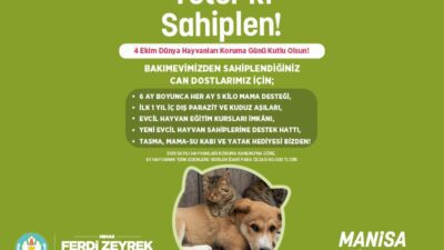 Manisa Büyükşehir Belediyesi, sokak hayvanlarına yuva bulunması hedefiyle “Yeter ki