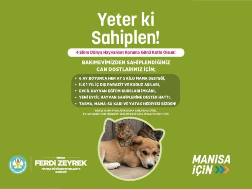 Manisa Büyükşehir Belediyesi, sokak hayvanlarına yuva bulunması hedefiyle “Yeter ki