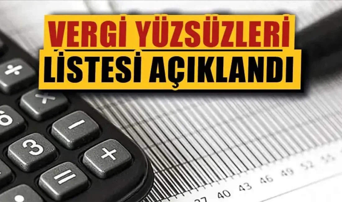 İşte Türkiye'nin vergi yüzsüzlerinde ilk liste açıklandı. kimler kimler var.