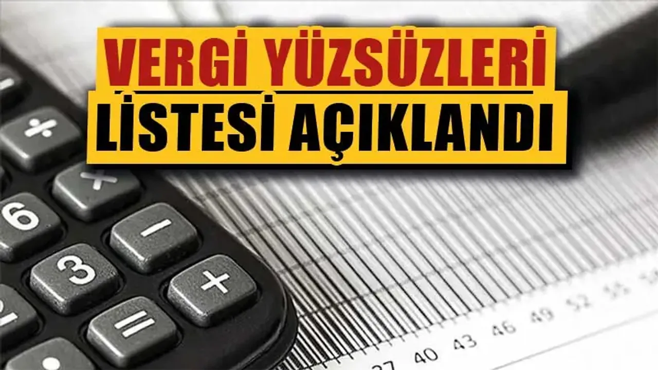 İşte Türkiye'nin vergi yüzsüzlerinde ilk liste açıklandı. kimler kimler var.