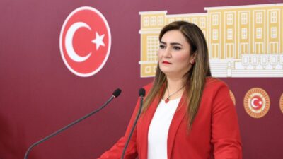 CHP İzmir Milletvekili ve TBMM Anayasa Komisyonu Üyesi Sevda Erdan