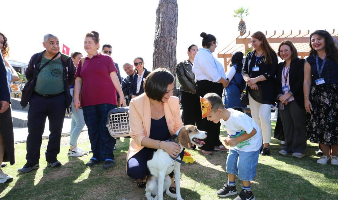Karabağlar patili dostlar için buluştu Karabağlar Belediyesi, hayvan sağlığı merkezinde barınan can dostlarımızı sahiplendirmek için