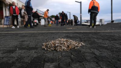 Ayvalık Belediye Başkanı Mesut Ergin, temizliğe giden yolun önce kirletmemekten
geçtiği