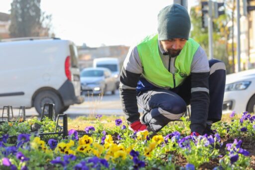Buca Belediyesi, ilçenin park, bahçe ve yeşil alanlarında seferberlik başlattı.
