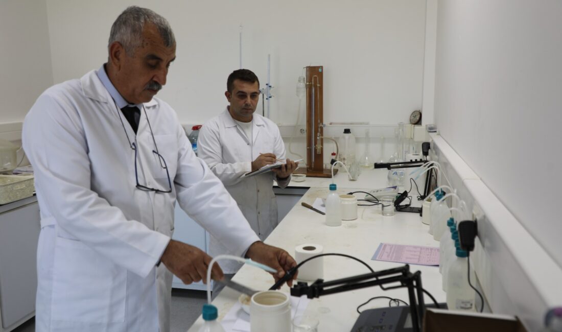 Muğla Büyükşehir Belediyesi ve Muğla Sıtkı Koçman Üniversitesi’nin iş
birliğiyle gerçekleştirilen