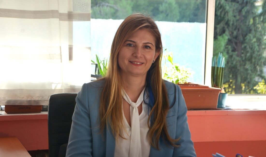 Birleşmiş Milletler (BM) İklim Değişikliği Konferansı (COP29), Azerbaycan’ın başkenti Bakü’de