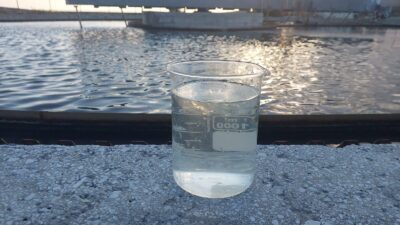 Çeşme Alaçatı ve Reisdere Atıksu Arıtma Tesisleri’nden denize arıtılmamış atık