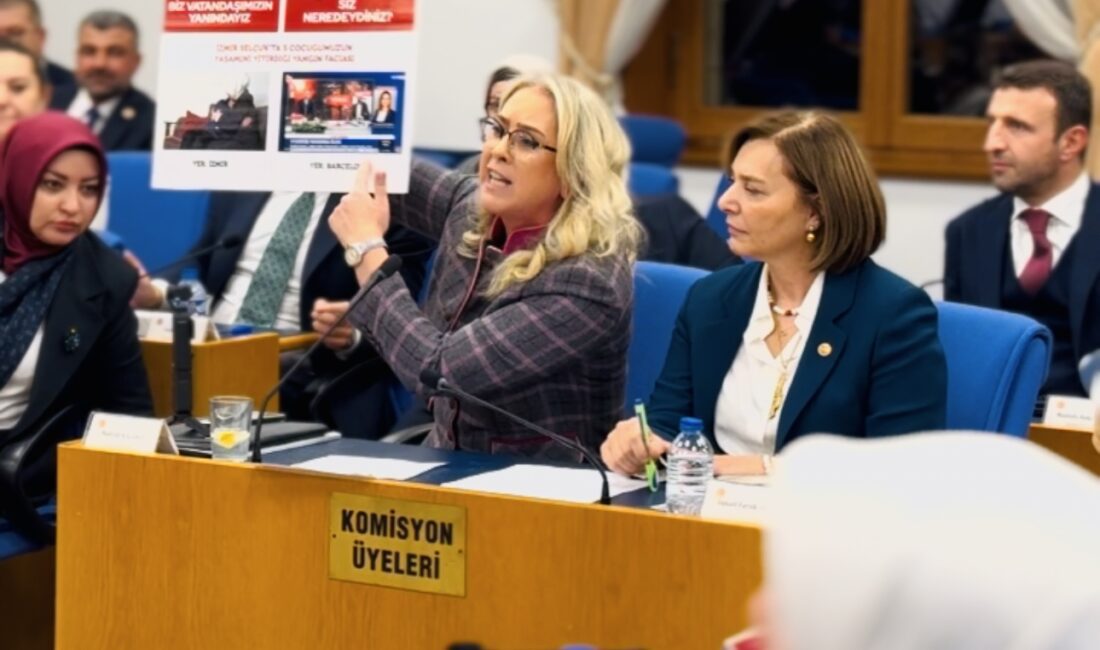 TBMM Plan ve Bütçe Komisyonu’nda, Aile ve Sosyal Hizmetler Bakanlığı