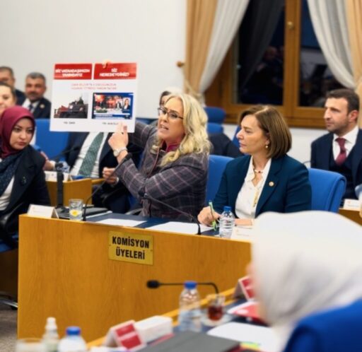 TBMM Plan ve Bütçe Komisyonu’nda, Aile ve Sosyal Hizmetler Bakanlığı