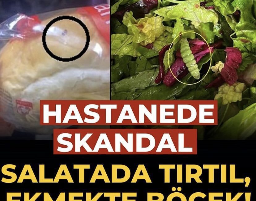 Ege üniversitesi tıp fakültesi hastanesinde yemek skandalı. Genel itibarıyla ülkemizin her bir köşesindeki kamu hastanelerimizde yaşanan yemek