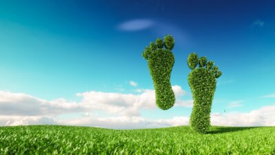 Avrupa Yeşil Mutabakat Uyum Süreci ile ilgili üyelerine örnek olmak