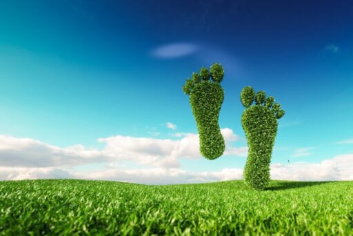 Avrupa Yeşil Mutabakat Uyum Süreci ile ilgili üyelerine örnek olmak