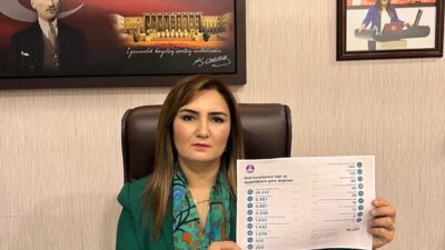 CHP İzmir Milletvekili ve TBMM Anayasa Komisyonu Üyesi Sevda Erdan