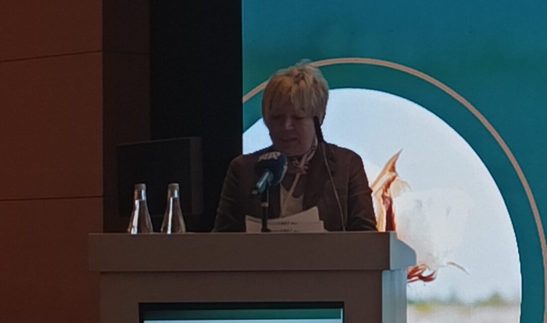 DÜNYANIN EN İYİ PAMUK ÜRETİCİLERİ İZMİR’DE BULUŞTU İzmir Ticaret Borsası (İTB) ev sahipliğinde düzenlenen 7'nci Akdeniz Pamuk