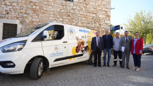 Milas Belediyesi ilçe genelinde sokak hayvanlarının yardımına koşuyor. Yardıma muhtaç,