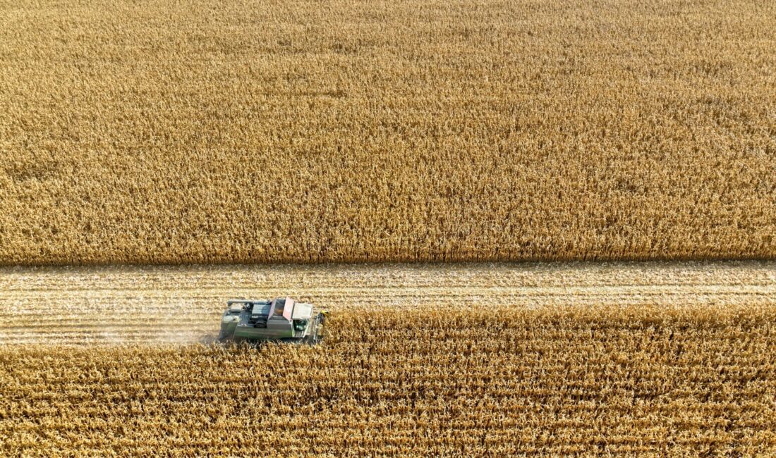 Manisa Büyükşehir Belediyesi, ulusal ve uluslararası ortakları ile AB Horizon