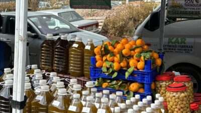 Seferihisar’da zeytin hasadı zamanını kutlamak için Orhanlı Köyü’nde festival düzenlendi. 