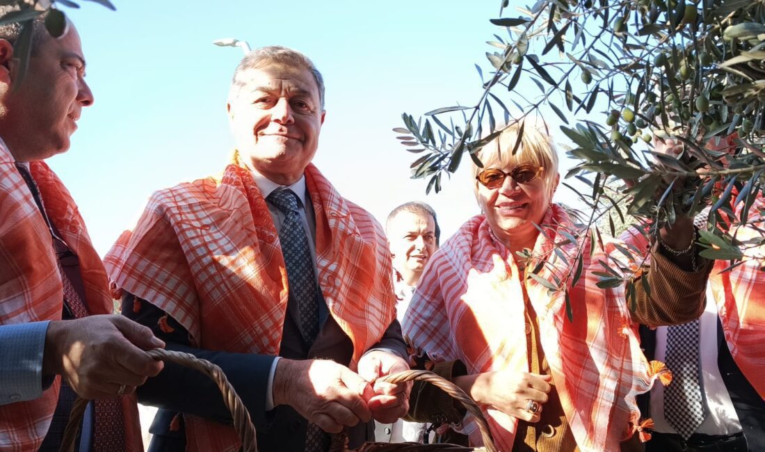 Bergama'da zeytin ve zeytin yağı sezonu güzel bir kutlama ile
