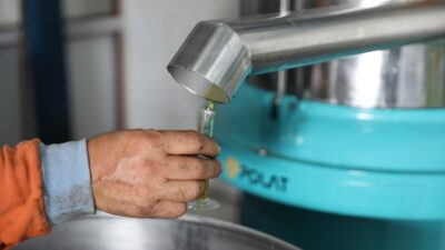 Seferihisar Belediyesi, Beyler Zeytinyağı Fabrikası’nın bu sezonki açılışını gerçekleştirdi. Üreticilerin