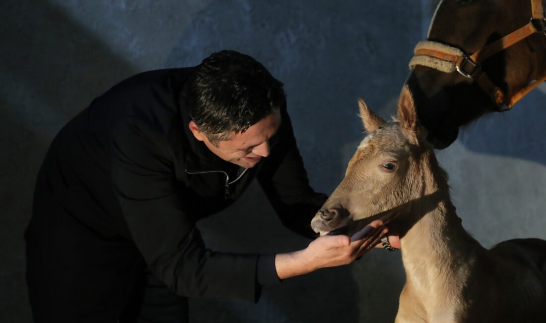 Aliağa Belediyesi tarafından projelendirilen ‘Alia Park Atla Terapi ve Rehabilitasyon