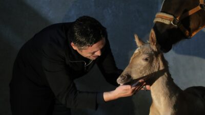 Aliağa Belediyesi tarafından projelendirilen ‘Alia Park Atla Terapi ve Rehabilitasyon