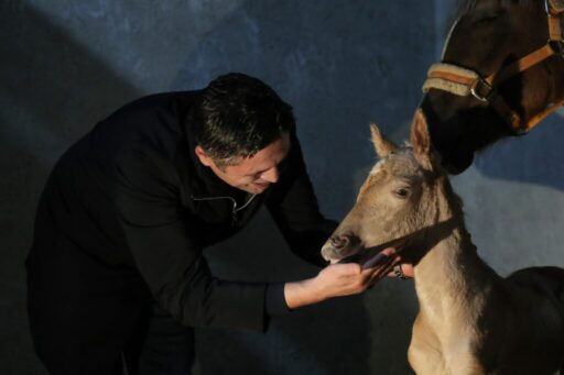 Aliağa Belediyesi tarafından projelendirilen ‘Alia Park Atla Terapi ve Rehabilitasyon